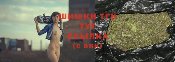 шишки Баксан