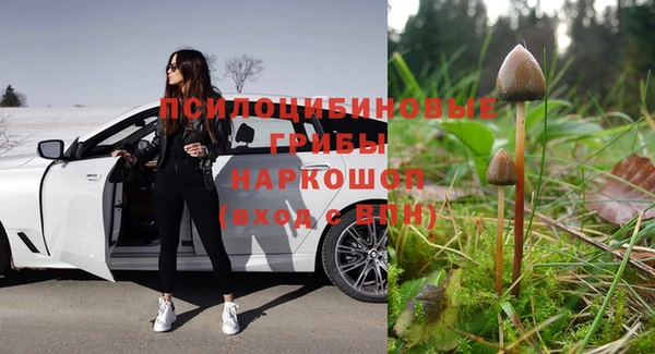 шишки Баксан