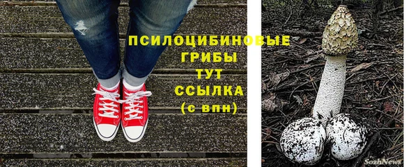 шишки Баксан